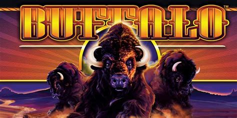 buffalo fortune studio free slots & vegas casino